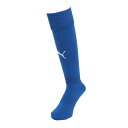 プーマ(PUMA)(キッズ)サッカー ソックス ジュニア LIGA ストッキング 72988011 靴下