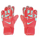 【ポイント10倍!要エントリー★9/10限定】ナイキ(NIKE)(メンズ)キーパーグローブ サッカー マッチ HQ0257-850