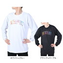 インザペイント（IN THE PAINT）（メンズ レディース）バスケットボールウェア 長袖Tシャツ ITP23413