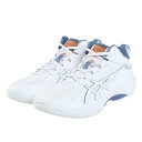 アシックス(ASICS)(メンズ、レディース)バスケットシューズ バッシュ ゲルフープ GELHOOP V17 1063A096.102