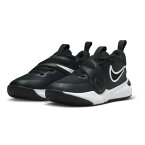 【4/15 24h限定 エントリー＆対象3店舗以上買い回りで最大P10倍！】ナイキ（NIKE）（キッズ）ジュニアバスケットシューズ バッシュ チーム ハッスル D 11 PS DV8994-002