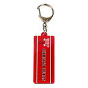 エヌビーエー(NBA)(メンズ、レディース、キッズ)キーホルダー シカゴ・ブルズ NBA31364