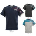 ファイテン アルペン・スポーツデポ限定 RAKUシャツ SPORTS SMOOTH DRY 半袖 ロゴ入り 吸汗速乾 Tシャツ スポーツウェア バレーボール バドミントン ランニング JG3990