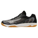 ミズノ(MIZUNO)(メンズ、レディース)バレーボールシューズ ミズノフライ V1GA233001
