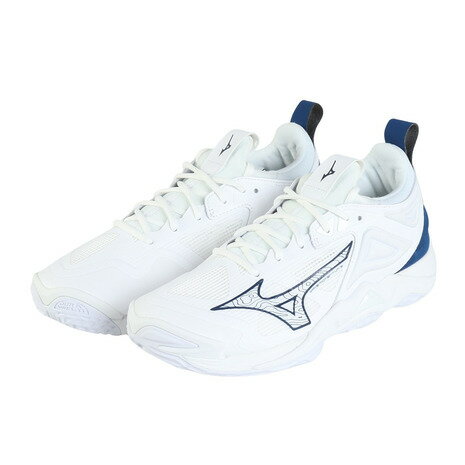 ミズノ(MIZUNO)(メンズ、レディース)バレーボールシューズ ウエーブモーメンタム 3 V1GA231257