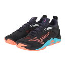ミズノ(MIZUNO)(メンズ、レディース)バレーボールシューズ ウエーブモーメンタム 3 WAVE MOMENTUM3 V1GA231206