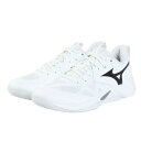 ミズノ(MIZUNO)(メンズ、レディース)バレーボールシューズ ウエーブモーメンタム プロ WAVE MOMENTUM V1GA254051