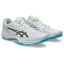 アシックス(ASICS)(メンズ、レディース)バレーボールシューズ V−SWIFT FF 4 Vスイフト 1053A066.103