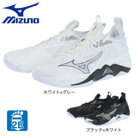 ミズノ(MIZUNO)(メンズ、レディース)バレーボールシューズ ウエーブモーメンタム3 V1GA2312