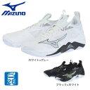 ミズノ（MIZUNO）（メンズ、レディース）バレーボールシューズ ウエーブモーメンタム3 V1GA2312 その1