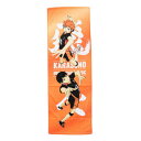ハイキュー!!(haikyu)(メンズ、レディース、キッズ)ハイキュー!! スポーツタオル 烏野高校 HT-501
