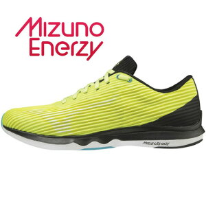 ミズノ（MIZUNO） ランニングシューズ WAVE SHADOW 4 ワイド J1GC202701 ジョギングシューズ （メンズ）