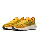 ナイキ(NIKE)(メンズ)ランニングシューズ ジョギングシューズ インタラクト ラン FD2291-800