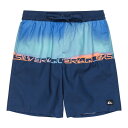 クイックシルバー(Quiksilver)(メンズ)水着 ボードショーツ EVERYDAY WORDBLOCK VL 19 25SPQBS251002BQV8