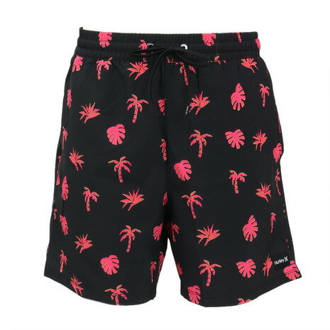ハーレー(HURLEY)(メンズ)キャノンボール ボレー 17 サーフパンツ 水着 MBS0011890-004 ハーレー(HURLEY)(メンズ)キャノンボール ボレー 17 サーフパンツ 水着 MBS0011890-004