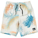 クイックシルバー（Quiksilver）（キッズ）ジュニア 水着 海水パンツ ボードショーツ RE-MIX VOLLEY KIDS17 23SUKBS232102OWT ホワイト