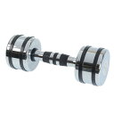 ファイティングロード Co.Ltd(FIGHTING ROAD CO.LTD)(メンズ、レディース、キッズ)クロームダンベル 6kg FR22TAK002/6 ...