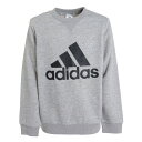 アディダス（adidas）（キッズ）ボーイズ エッセンシャルズ スウェット 29258-GS4273