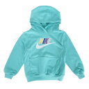 【最大7万ポイントバック!要エントリー&抽選★5/10限定】ナイキ(NIKE)(キッズ)CLUB FT HBR プルオーバーパーカー 76L095-EIG