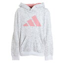 【5/10 24h限定 エントリー＆対象3店舗以上買い回りで最大P10倍！】アディダス（adidas）（キッズ）ジュニア フューチャー アイコン スリーストライプス フード付きスウェットシャツ M1512-HE1926