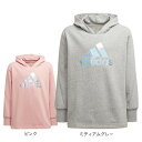 アディダス（adidas）（キッズ） ジュニア ダンス メタリックプリント パーカー DO756