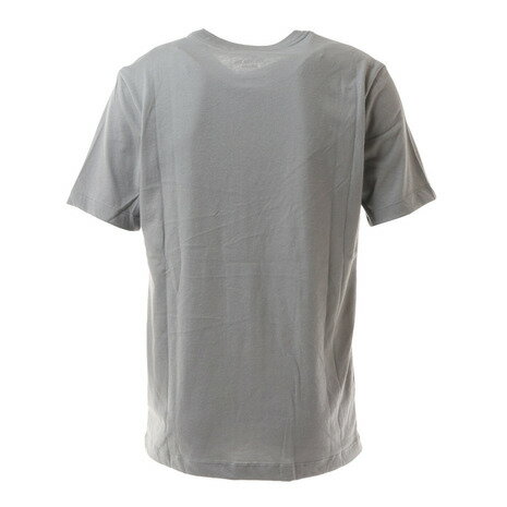 ナイキ（NIKE） Tシャツ メンズ 半袖 Dri-FIT グラフィック トレーニング DD6895-073 カットソー （メンズ）