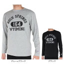 チャンピオン-ヘリテイジ(CHAMPION-HERITAGE)(メンズ)長袖Tシャツ メンズ BA COLLEGE プリントTシャツ C3-X413