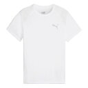 【最大7万ポイントバック!要エントリー&抽選★5/10限定】プーマ(PUMA)(キッズ)キッズ ボーイズ エヴォストライプ 半袖 Tシャツ 681331 02 ...