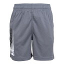 アンダーアーマー(UNDER ARMOUR)(キッズ)ジュニア テック ワードマーク ショーツ 1383334 025