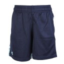 アンダーアーマー(UNDER ARMOUR)(キッズ)ジュニア UAテック プリント ブロック ショーツ 6006953 410