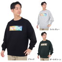 ハーレー（HURLEY）（メンズ）ボックス ロゴ クルースウェット 23MFL2200001