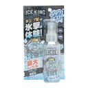 白元アース(Hakugen Earth)(メンズ、レディース)冷却ミスト アイスノン シャツミスト ミントの香り ICEKING 100ml 衣類用 冷却スプレ...