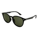 チャンピオン(CHAMPION)(メンズ、レディース)チャンピオン 偏光レンズ サングラス CH2133 BK-GNP2(4)