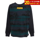 【20%OFFクーポン対象！1/15まで】プーマ（PUMA）（キッズ）長袖Tシャツ ALPHA 671900 43 NVY