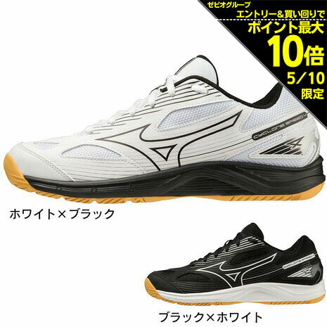 V1GA220009290 ミズノ バレーボールシューズ　ローカット（ホワイト×ブラック・サイズ：29.0cm） MIZUNO　ウェーブライトニング Z7