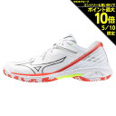 ミズノ MIZUNO メンズ レディース キッズ バドミントンシューズ ウエーブクロー 3 71GA244305