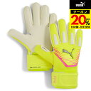 【20%OFFクーポン対象!9/11まで】プーマ(PUMA)(メンズ)キーパーグローブ サッカー フューチャー マッチ NC 04206702