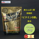 ゴールドジム（GOLD'S GYM）（メンズ、レディース）ホエイ&カゼイン ダブルプロテイン+ビタミンB群 バニラ風味 2kg F7160 計量スプーン付 サプリメント