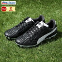 プーマ（PUMA）（メンズ）サッカースパイク ハードグラウンド/人工芝用 パラメヒコ SE プロ HG/AG 10731601