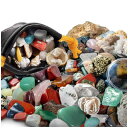 NATIONAL GEOGRAPHIC Rocks & Fossils Kit – 200Piece Set Includes Geodes, Real Fossils, Rose Quartz, Jasper, Aventurine, &(3)
