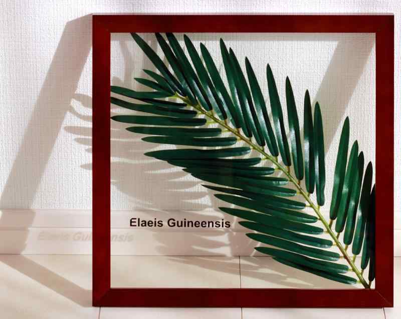 リーフパネル 日本製 手作り ギニアアブラヤシ あゆわら製飾り方説明書付き 絵画 インテリア 壁掛け 額入り リーフパネル アートパネル リビング 玄関 プレゼント モダン アートフレーム