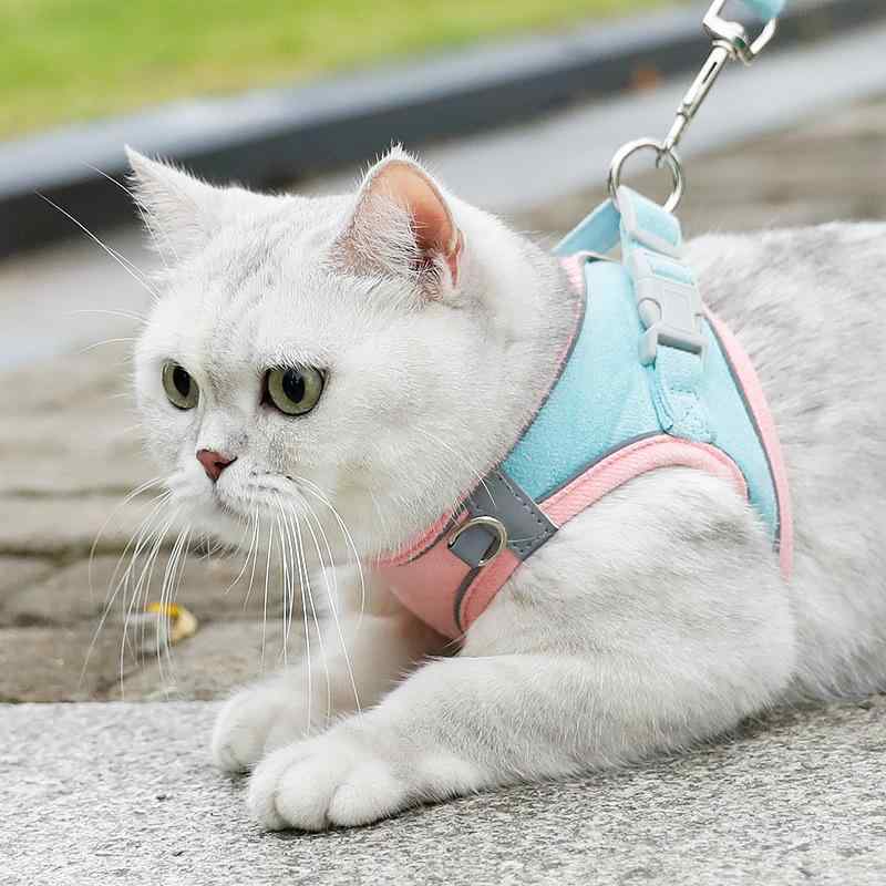 ペット 胸帯 男の子 女の子 粉 藍 橙 緑 布 反射 気 猫 犬 散歩 用品 軽量 サイズ 調節 可能