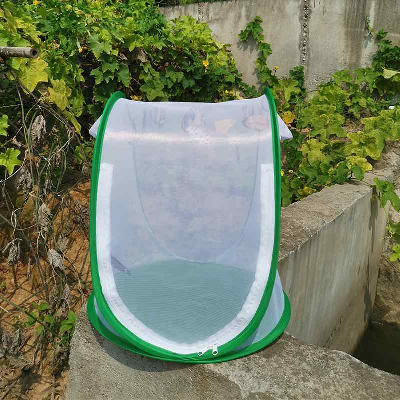 ペット 飼育 昆虫 ケージ 爬虫類 観察 防虫 ネット 緑 橙