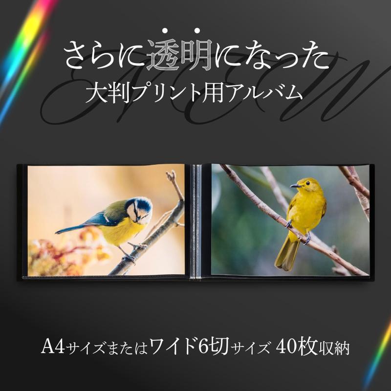 ハクバ (HAKUBA) 大判プリント用アルバム プロフェッショナルプリントアルバムV [A4サイズ ヨコ 40枚収納] ブラック 写真を本来の色味でそのまま美しく見せる・色鮮やかに引き立てる黒台紙 プ