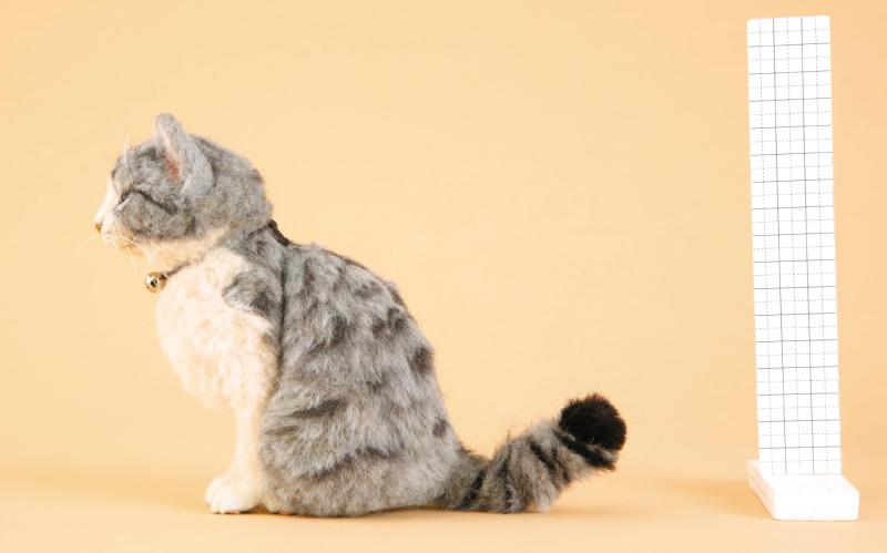 �ϥޥʥ� �ե�������� ���å� �ˡ��ɥ�ե���� �ǤĤ��� ���� ��å��� ���å� ���Хȥ� (�������⤵�� 16cm) ���ӥݥ���Ȥ�ư��ǥ��ݡ���QR�������� H441-646