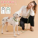 犬 リード 首輪 肩掛けリード ショルダーリード 迷子防止 脱走防止 2頭引き 斜め掛け 散歩 小型犬 中型犬 ハンズフリー ショルダー 子犬 猫 抜けにくい ...