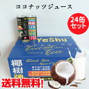 【4/24 9:59まで限定価格】椰樹 天然椰子汁24缶セット お買い得 ココナッツミルク 中華ドリンク 中華飲料 ココナッツジュース ドリンク 中国産 245ml×24