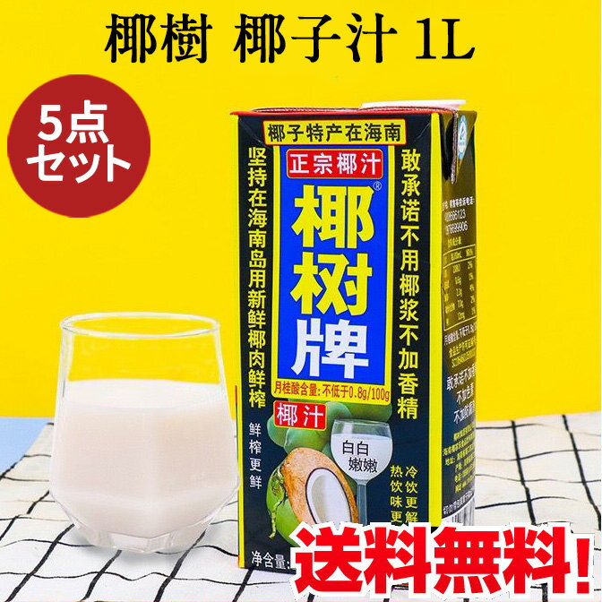 天然椰子汁1L×5点セット（椰樹） ココナッツミルク ココナッツジュース 中華ドリンク 中華飲料 中国産