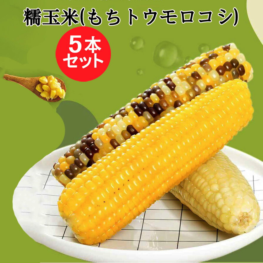 天勤 糯玉米棒5本セット 黄糯と彩糯と白糯玉米の3種から選べる もちとうもろこし もちもち 調理済み 軸付きトウモロコシ 黏玉米 真空パックコーン 中華食材 粘玉米 中国産 電子レンジOK 約230g×5 要ご注意:袋に記載の日付は製造日です。