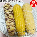 天勤 糯玉米棒10本セット 黄糯と彩糯と白糯玉米の3種から選べる もちとうもろこし もちもち 調理済み 軸付きトウモロコシ 温めるだけ 黏玉米 真空パックコーン 粘玉米 中国産 電子レンジOK 約230g×10 要ご注意:袋に記載の日付は製造日です。